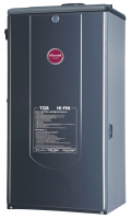 Напольный газовый двухконтурный котел TGB HiFin-30